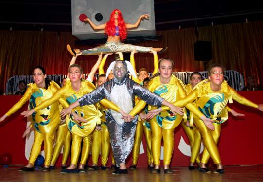 Schautanz Stechergarde