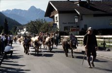 zillertal-013