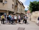 elsass023