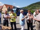 elsass044