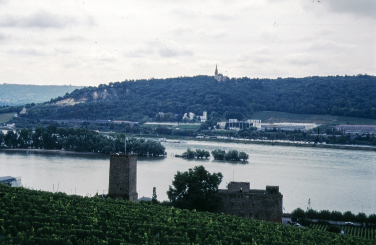 ruedesheim-011